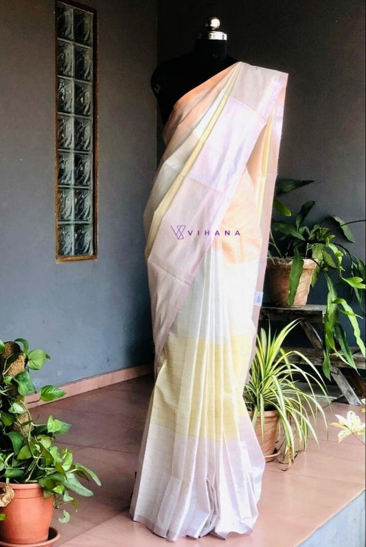 Multi colored Stripes Bar Saree