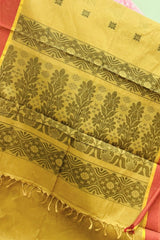 Distinct Chikku Pure Handloom Soft Cotton Saree