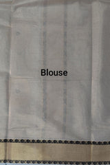 Premium Tissue Set saree with Golden Zari Borders and Paisley Motifs