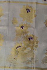 Premium Tissue Set Saree with Peacock Border